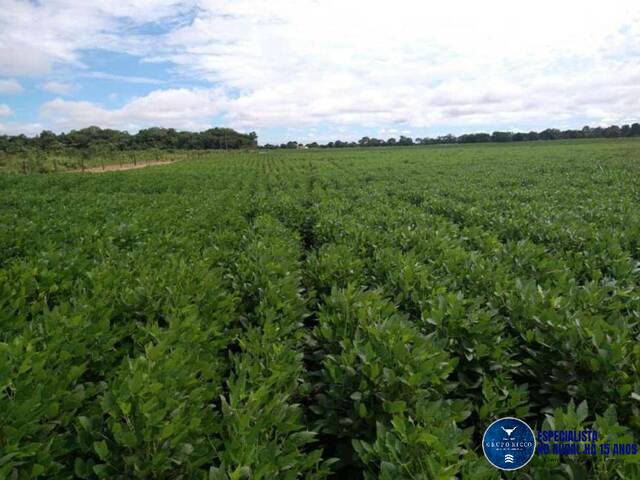 #3000 - Fazenda para Venda em Barra do Garças - MT