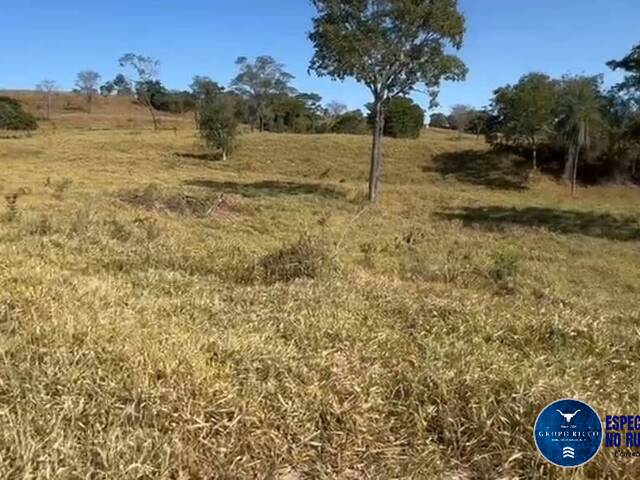 #3002 - Fazenda para Venda em Ivolândia - GO