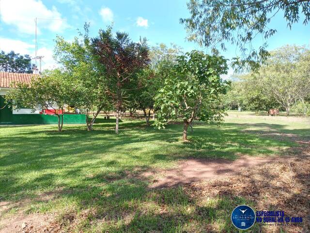 Venda em zona rural - Mineiros