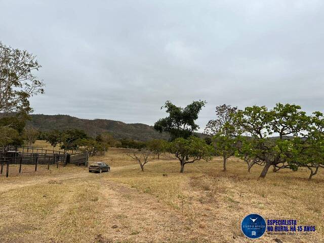 #3005 - Fazenda para Venda em Santa Cruz de Goiás - GO