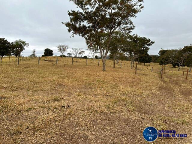 Venda em zona rural - Santa Cruz de Goiás