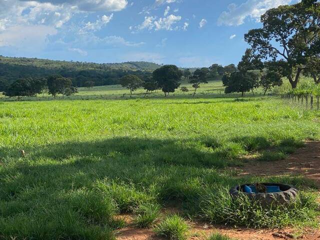 Venda em zoan rural - Pontal do Araguaia