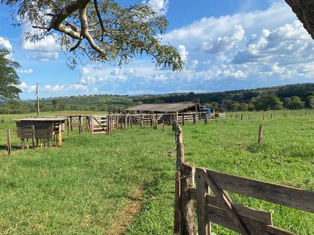 #3006 - Chácara para Venda em Pontal do Araguaia - MT