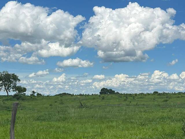 #3025 - Fazenda para Venda em Torixoréu - MT