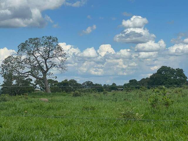 #3025 - Fazenda para Venda em Torixoréu - MT