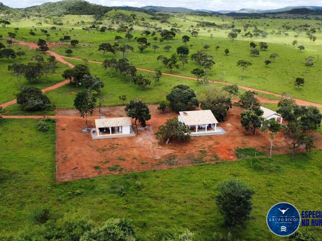 #3035 - Fazenda para Venda em Cocalzinho de Goiás - GO