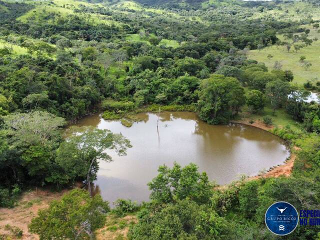 #3035 - Fazenda para Venda em Cocalzinho de Goiás - GO