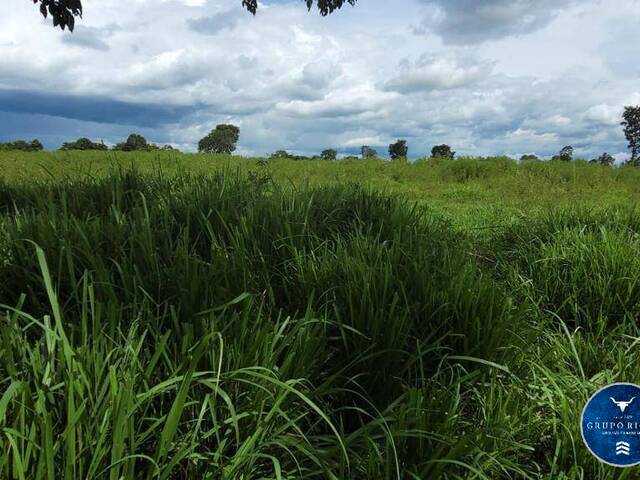 #3037 - Fazenda para Venda em Porangatu - GO