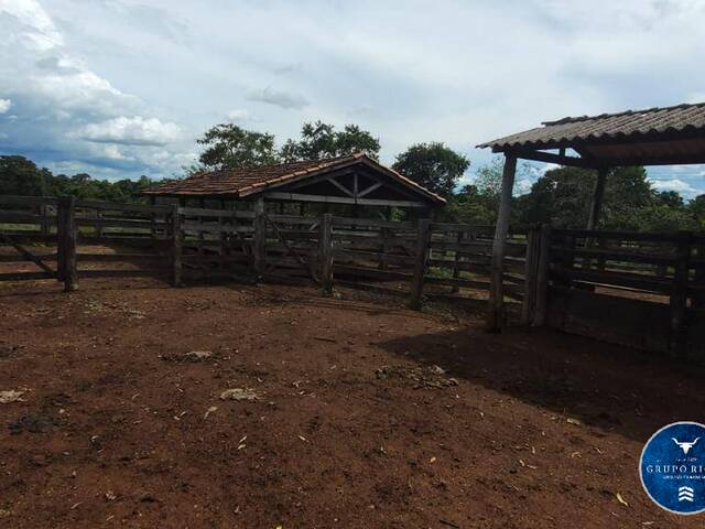 #3037 - Fazenda para Venda em Porangatu - GO