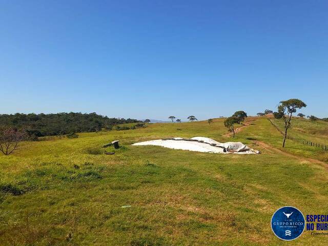 #3038 - Fazenda para Venda em Itaberaí - GO