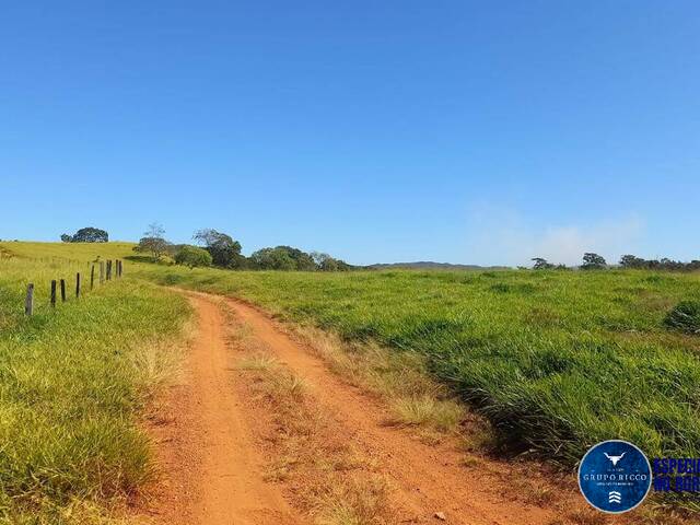 Venda em zona rural - Itaberaí