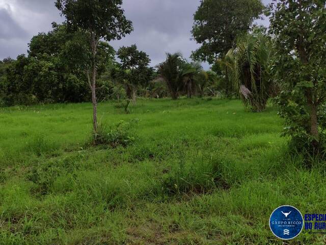 Venda em zona rural - Jussara