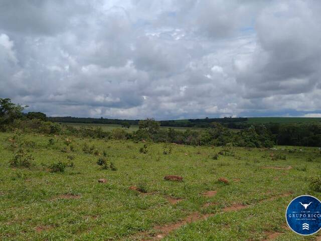 #3044 - Fazenda para Venda em Água Fria de Goiás - GO