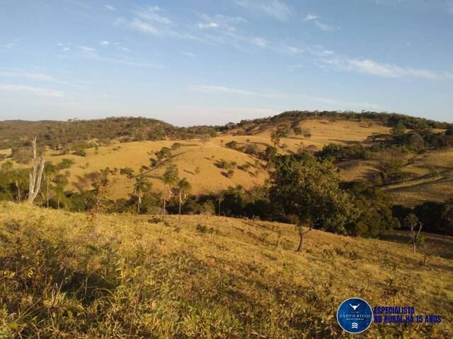 #3046 - Fazenda para Venda em Cromínia - GO