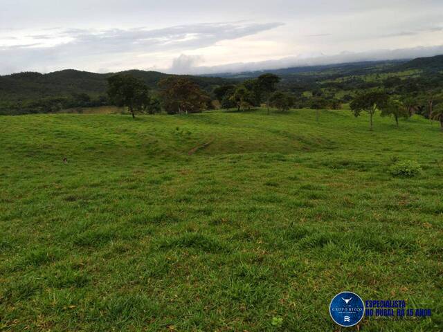 #3046 - Fazenda para Venda em Cromínia - GO