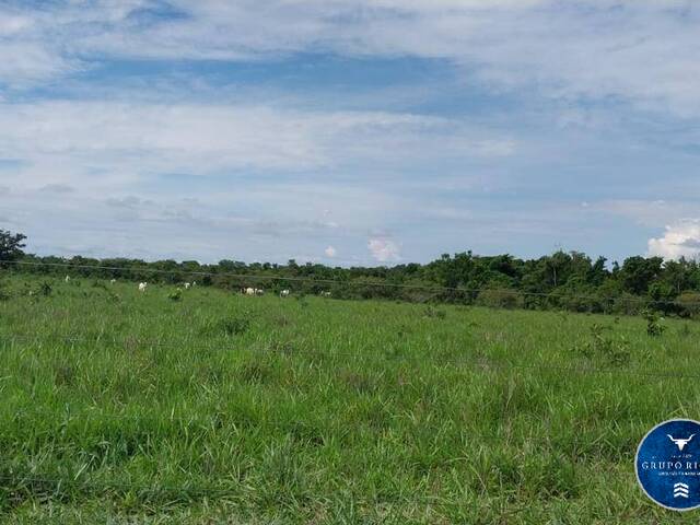 #3050 - Fazenda para Venda em Barra do Garças - MT