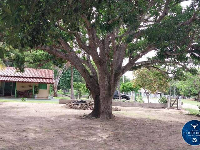 #3050 - Fazenda para Venda em Barra do Garças - MT