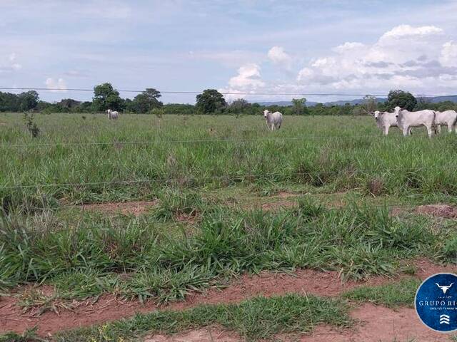 #3050 - Fazenda para Venda em Barra do Garças - MT