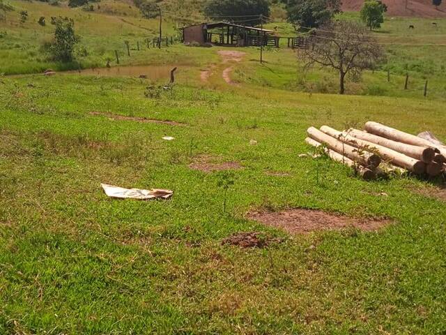 #1129 - Fazenda para Venda em São Luís de Montes Belos - GO