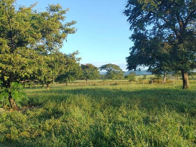 Venda em ZONA RURAL - Novo Brasil