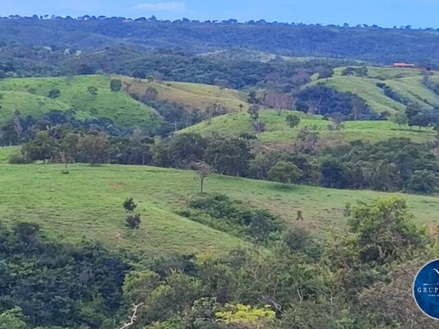 #3051 - Fazenda para Venda em Padre Bernardo - GO