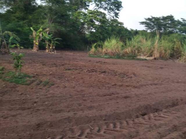 #910 - Fazenda para Venda em Montes Claros de Goiás - GO