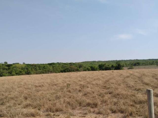 #910 - Fazenda para Venda em Montes Claros de Goiás - GO