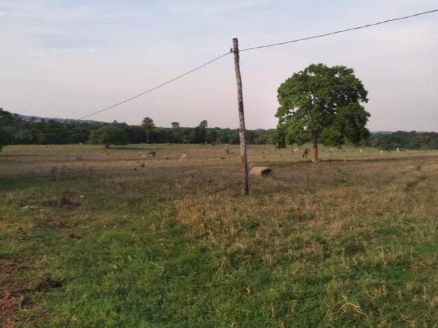 #910 - Fazenda para Venda em Montes Claros de Goiás - GO