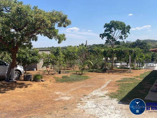 Venda em zona rural - Aragoiânia