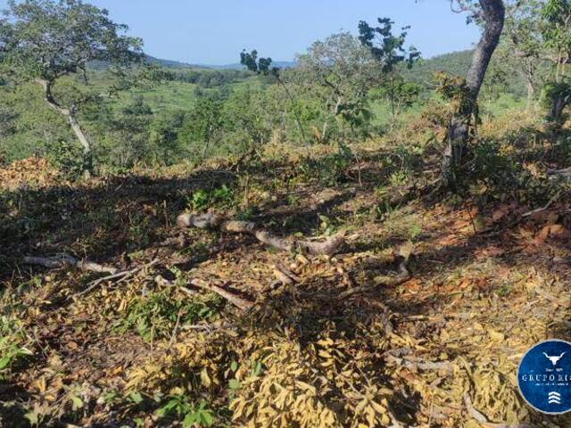 #3054 - Fazenda para Venda em Uruaçu - GO