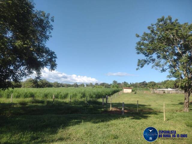 #3055 - Fazenda para Venda em Montes Claros de Goiás - GO