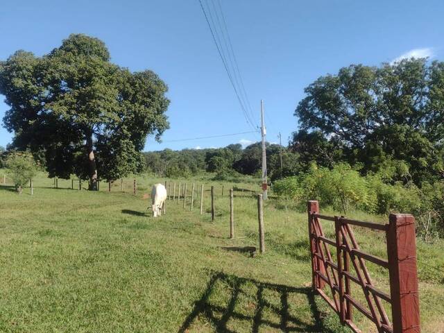 #3055 - Fazenda para Venda em Montes Claros de Goiás - GO