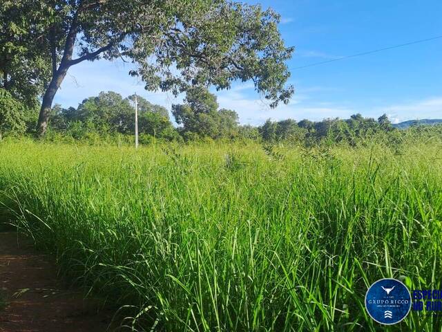 #3056 - Fazenda para Venda em São Salvador do Tocantins - TO