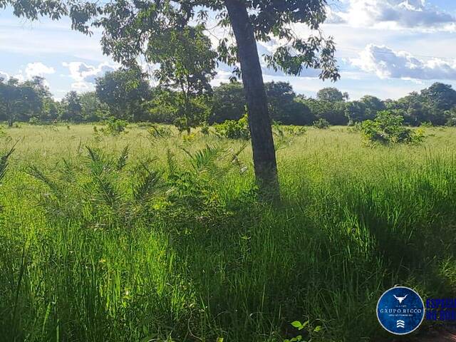 #3056 - Fazenda para Venda em São Salvador do Tocantins - TO