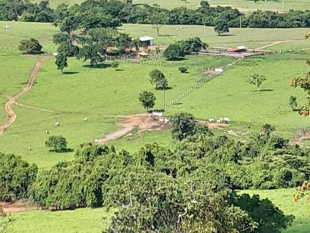 Venda em zona rural - Ivolândia