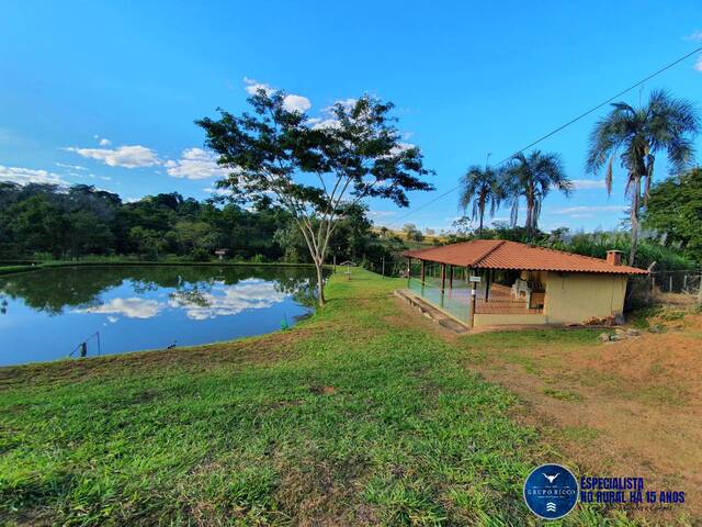 Venda em zona rural - Trindade