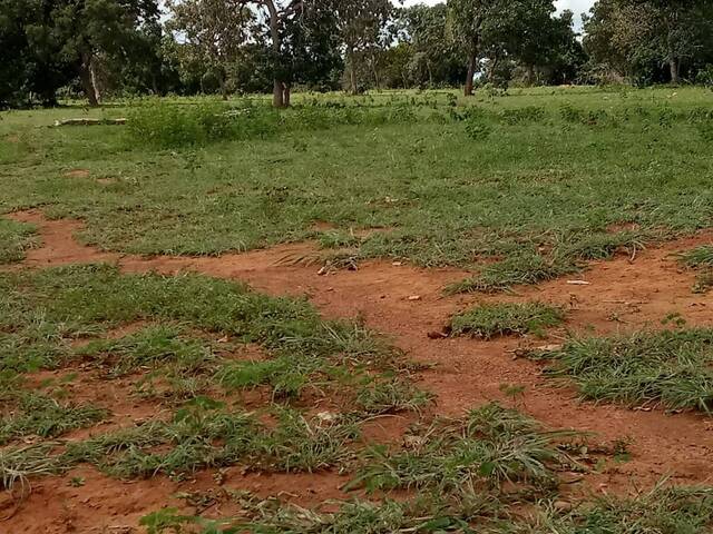 #1099 - Fazenda para Venda em Montes Claros de Goiás - GO