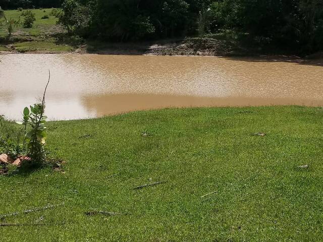 #1099 - Fazenda para Venda em Montes Claros de Goiás - GO