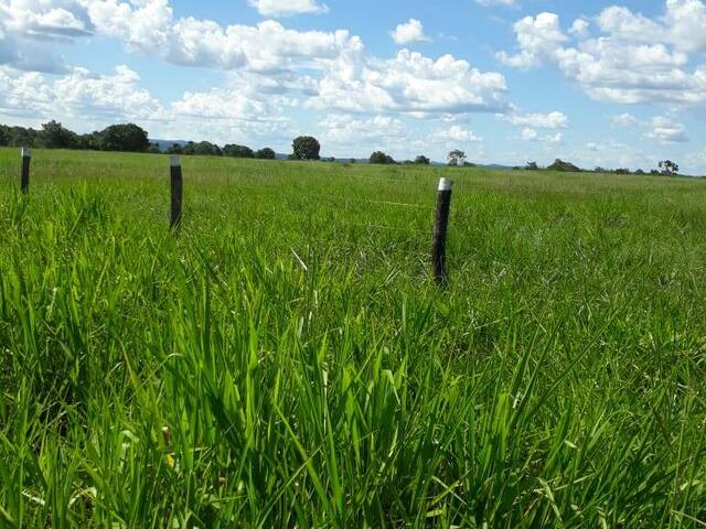 #1100 - Fazenda para Venda em Porangatu - GO