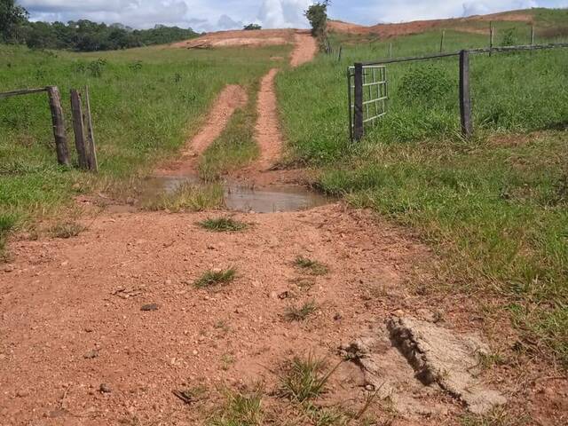 #1130 - Fazenda para Venda em Ivolândia - GO