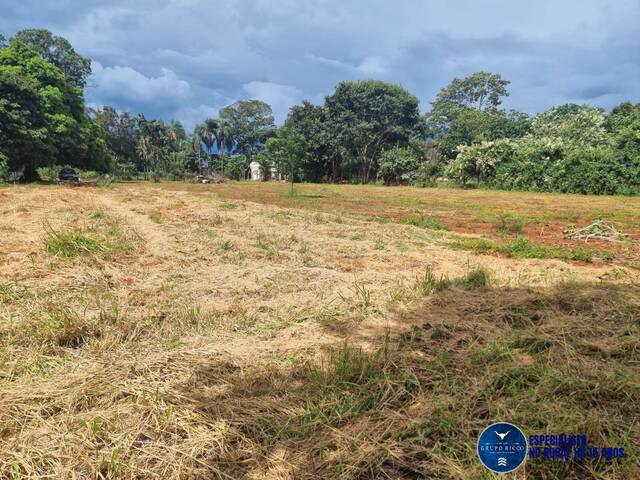 Venda em zona rural - Goianira