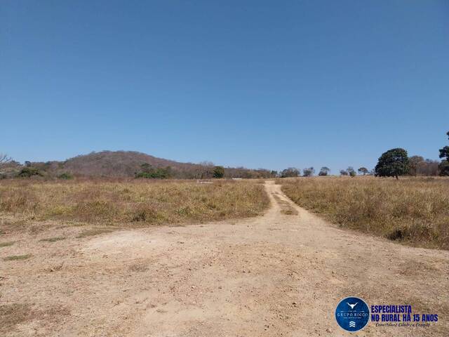 Venda em zona rural - Palmeiras de Goiás