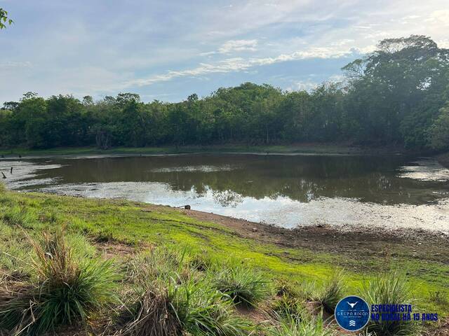 #3065 - Fazenda para Venda em Porangatu - GO