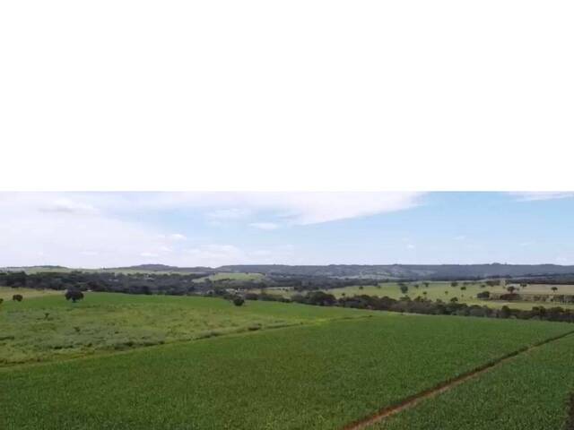 #1282 - Fazenda para Venda em Bela Vista de Goiás - GO