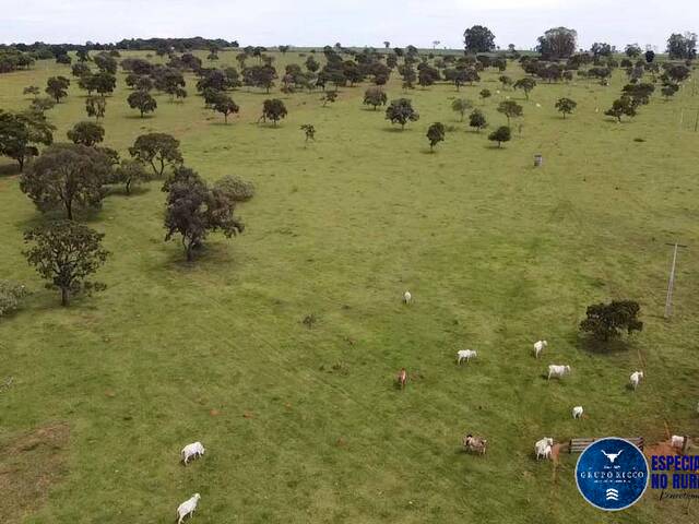 #1282 - Fazenda para Venda em Bela Vista de Goiás - GO