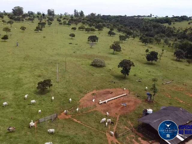 #1282 - Fazenda para Venda em Bela Vista de Goiás - GO