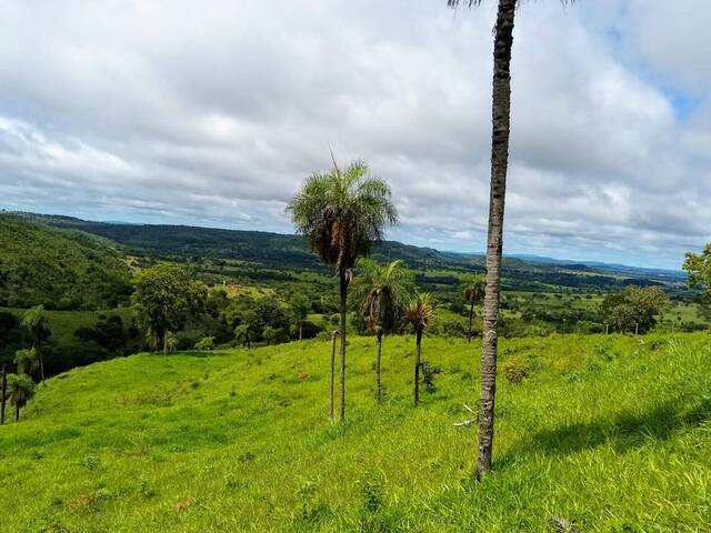 #1266 - Chácara para Venda em Jaraguá - GO