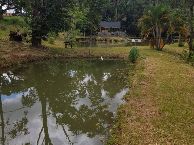 #1193 - Chácara para Venda em Bela Vista de Goiás - GO