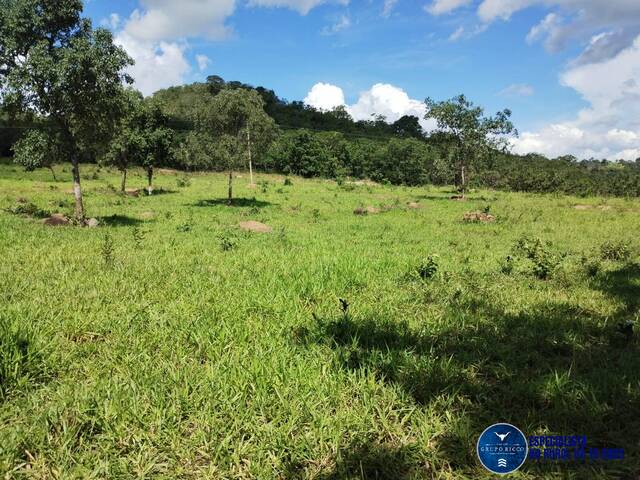 Venda em zona rural - Iporá