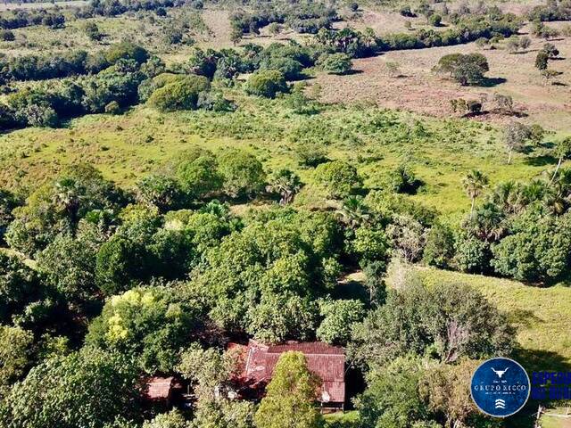 #1174 - Fazenda para Venda em Porangatu - GO